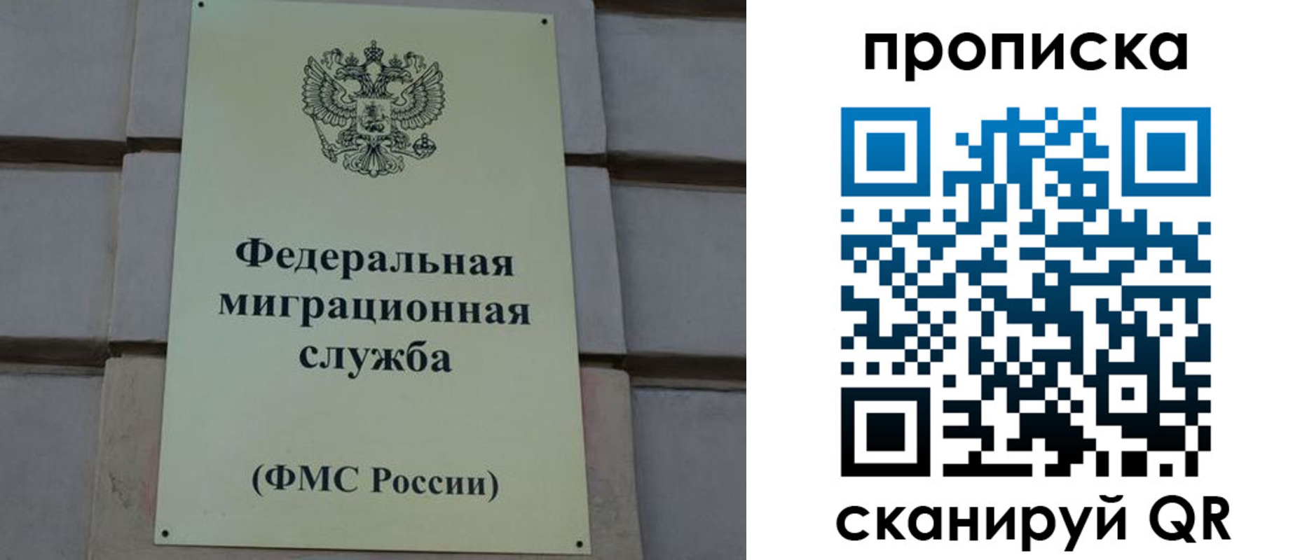 прописка поиск в Карпинске